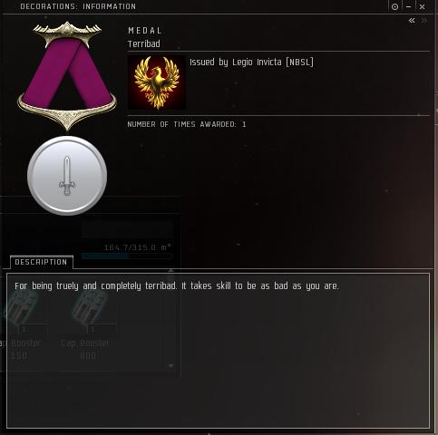 Eve Medal Decoration Award Example - Medal For Being Bad