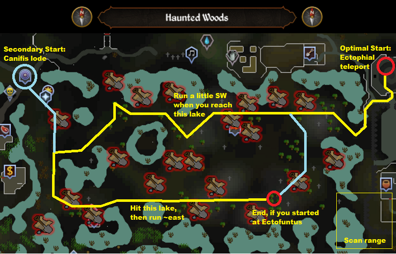 Runescape - Haunted Woods - Elite Clue Scan Route